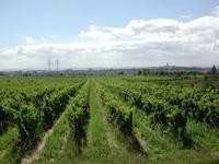 Img. 12.5 - 3 : Produkty se prodvaj i zpracovan, k takovm pat...
