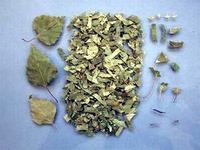 Img. 5.3 - 2 : list bzy blokor (Betula pendula L.)