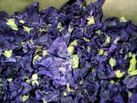 Img. 5.3 - 3 : kvt slzu lesnho (Malva silvestris L.)