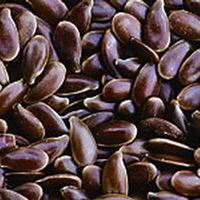 Img. 5.1 - 1 : Len set (Linum ussitatisimum L.)