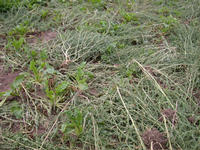 Img. 5.2.1 - 4 : Dalm vznamnm initelem ovlivujcm tvorbu vn...