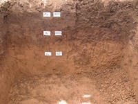 Img. 4.4 - 2 : Hlubok a humzn pdy vhodn pro pstovn cukrov...