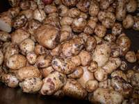 Img. 16.3.3 - 1 : Pi stanoven krobnatosti musme hlzy dkladn o...