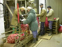 Img. 16.1 - 3 : Balen konzumnch hlz