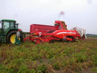 Img. 15.1 - 13 : Mechanizovan sklize brambor