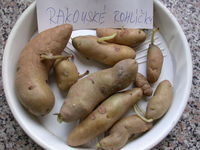 Img. 12 - 5 : Rohlkovit tvar hlz
